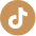 Tiktok Icon